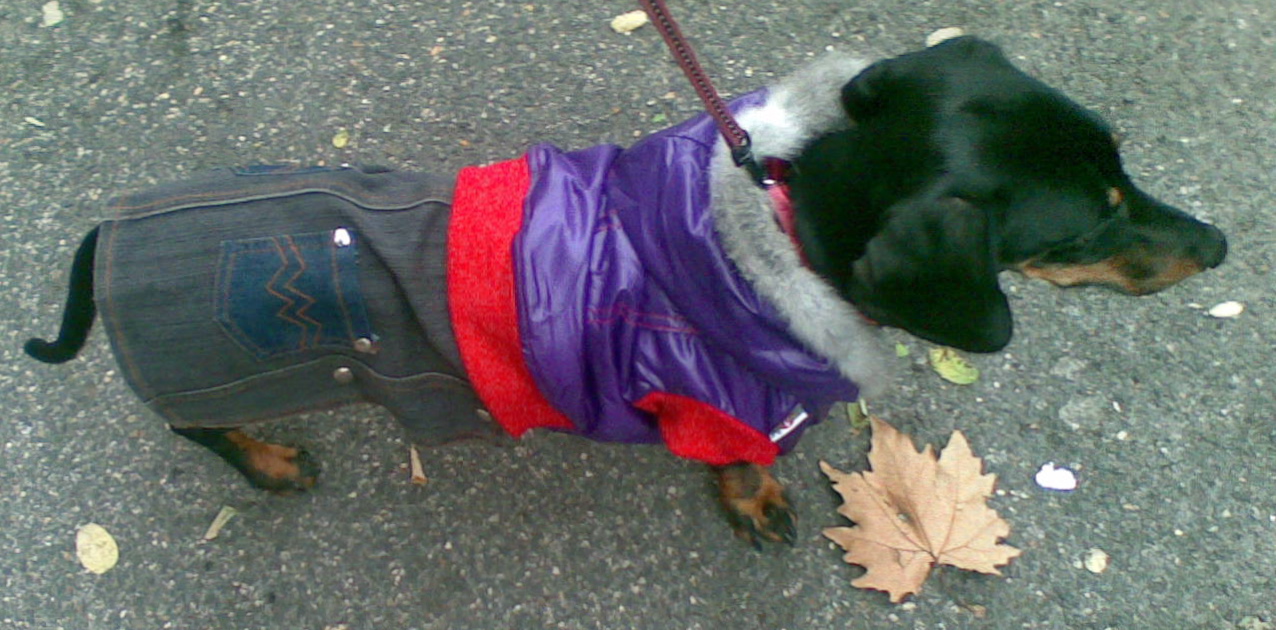 Tappetino per cani in erba - Doggo - Elefantico- Approfitta delle